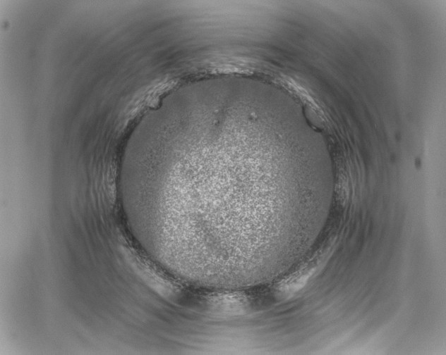 X0000067950402200604171440