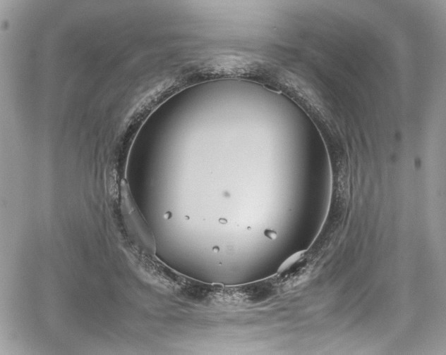 X0000067950403200604171440