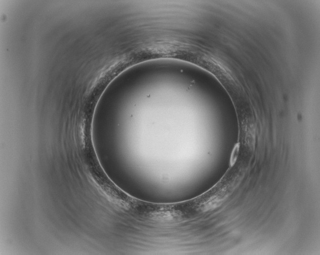 X0000067950404200604171440