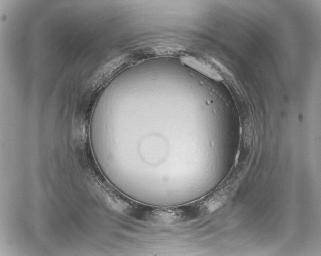 X0000067950405200604171440