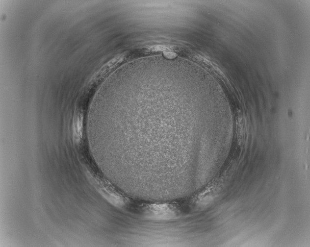 X0000067950406200604171440