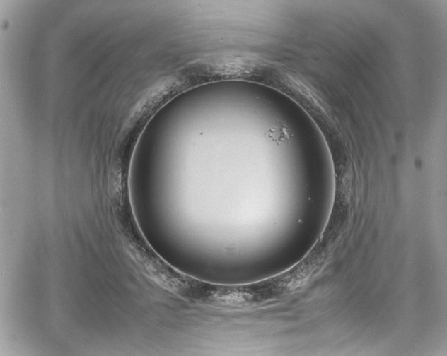 X0000067950407200604171440