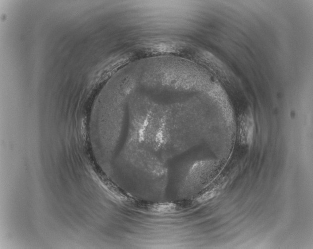 X0000067950410200604171440