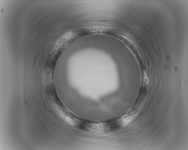 X0000067950411200604171440