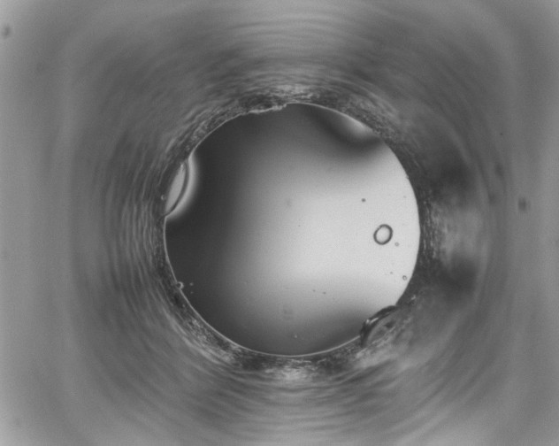 X0000067950412200604171440