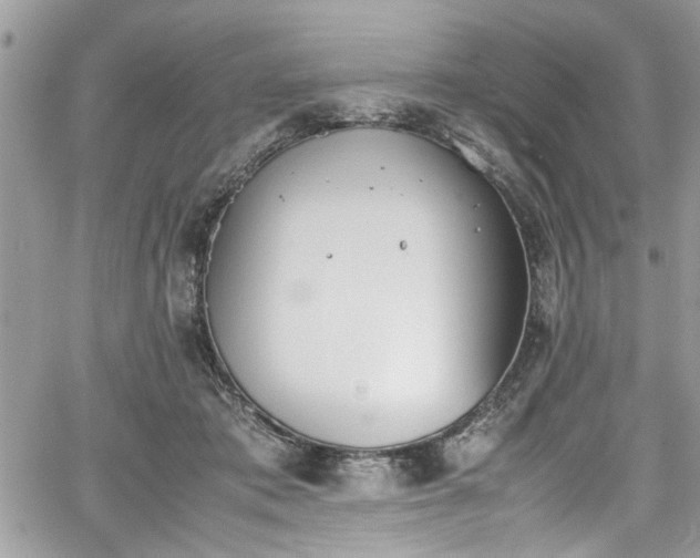 X0000067950413200604171440