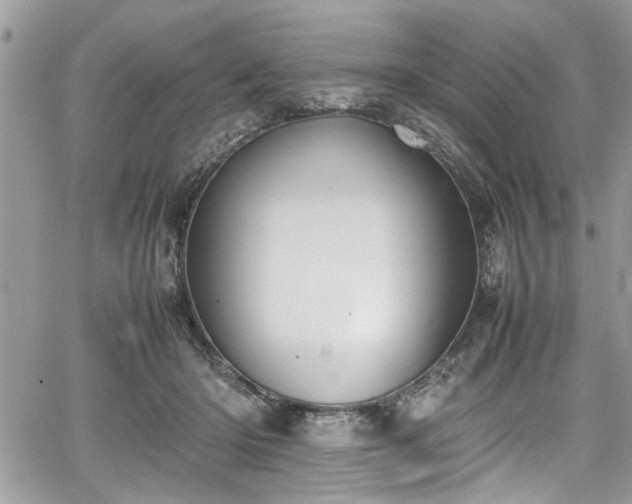 X0000067950414200604171440