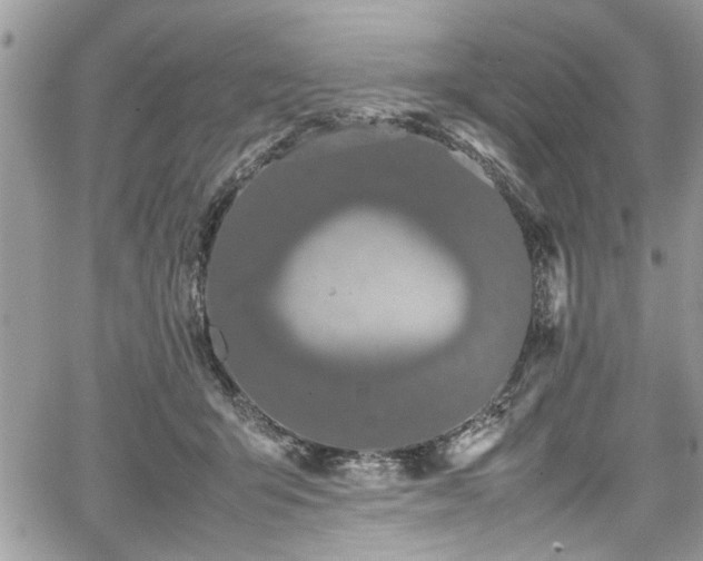 X0000067950415200604171440