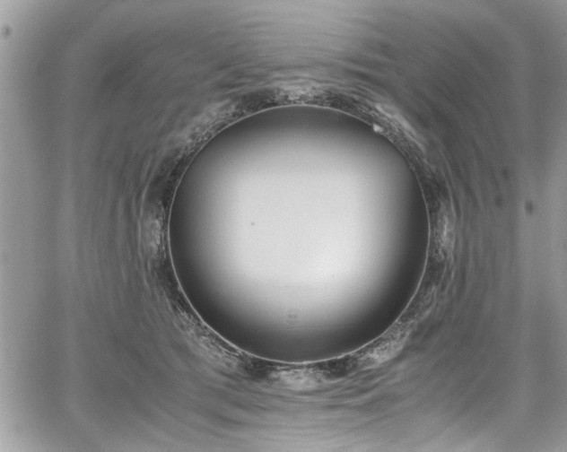 X0000067950417200604171440