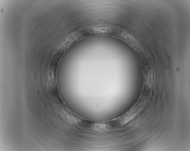 X0000067950418200604171440