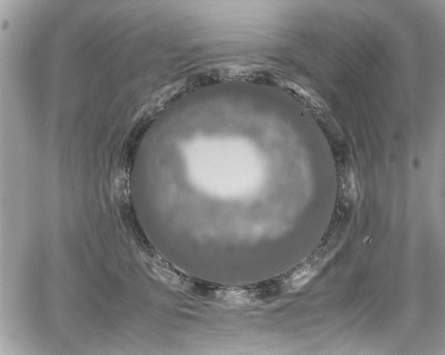 X0000067950419200604171440