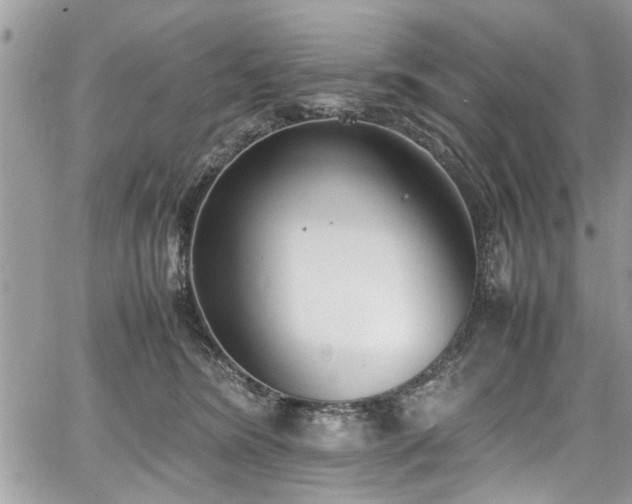 X0000067950420200604171440