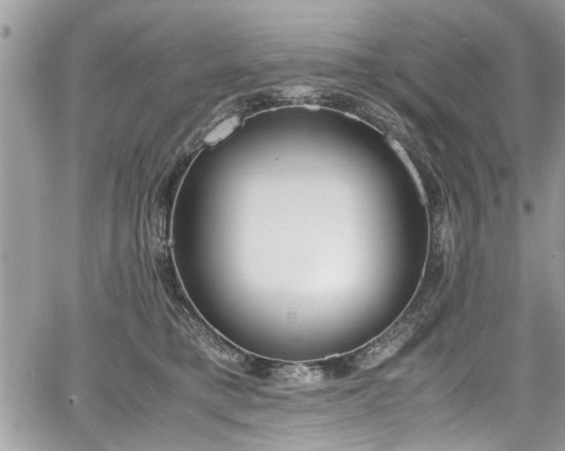 X0000067950421200604171440