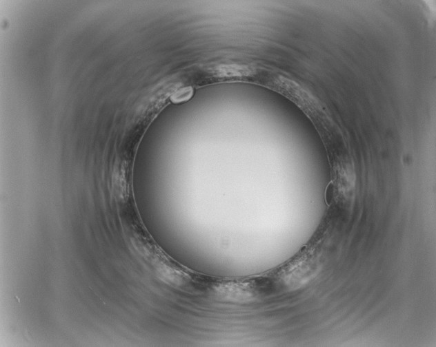 X0000067950422200604171440