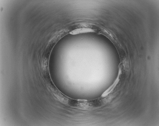 X0000067950423200604171440