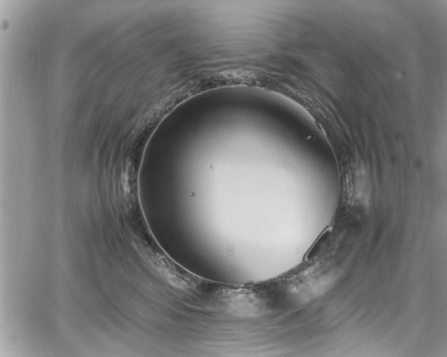 X0000067950424200604171440