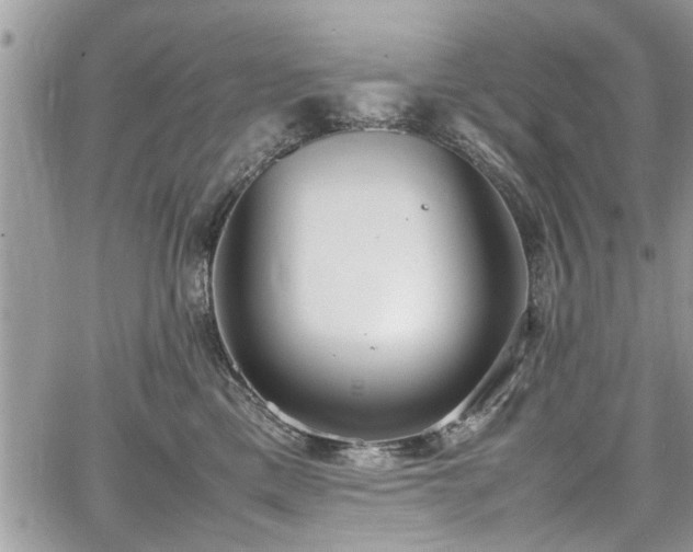 X0000067950425200604171440