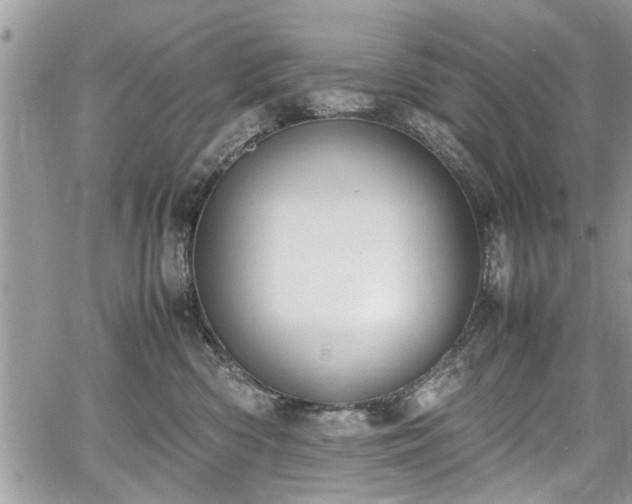 X0000067950426200604171440