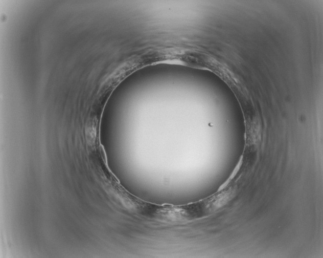 X0000067950427200604171440