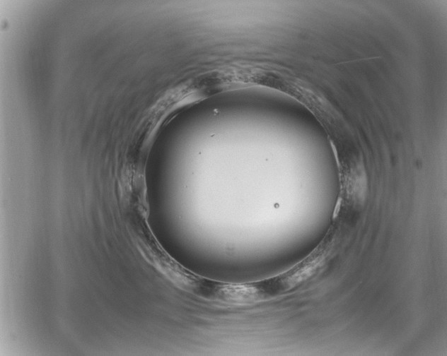 X0000067950429200604171440