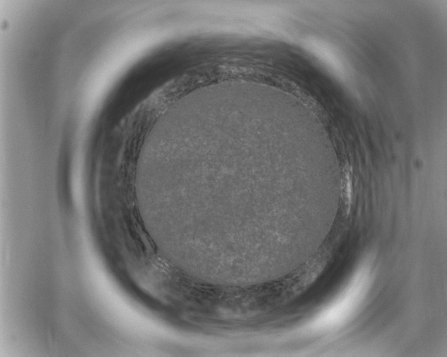 X0000067950431200604171440