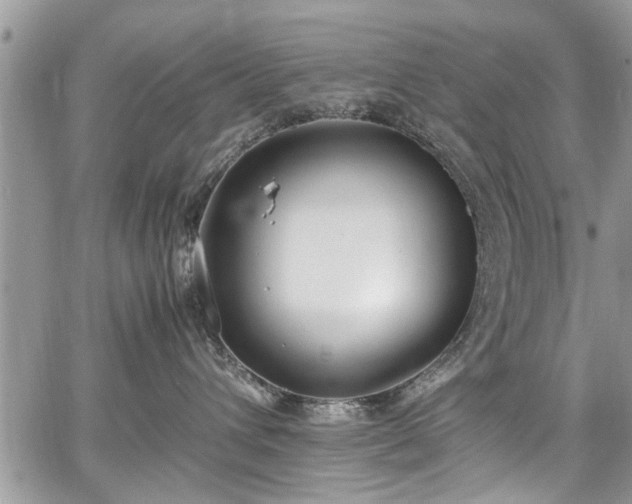 X0000067950432200604171440