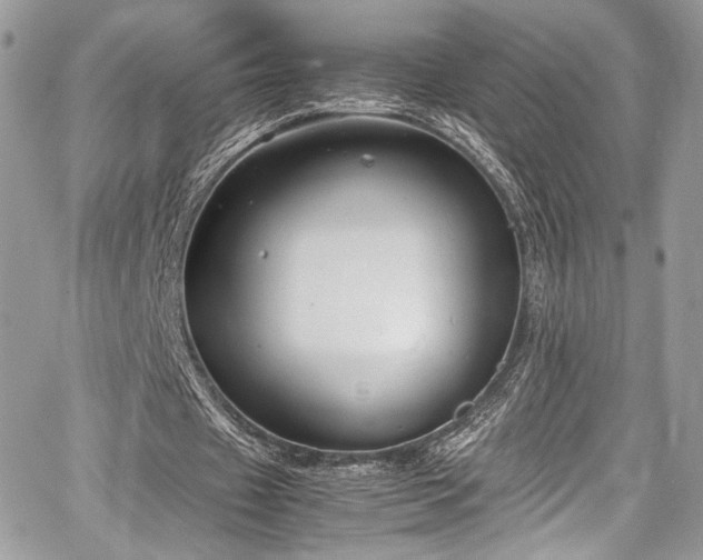 X0000067950433200604171439