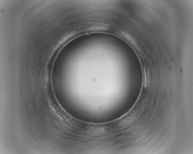 X0000067950435200604171439