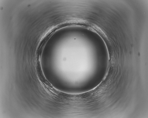 X0000067950436200604171439