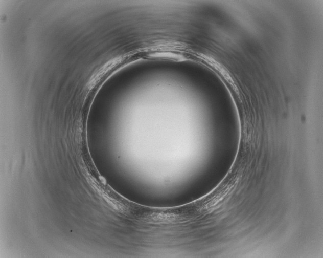 X0000067950437200604171439