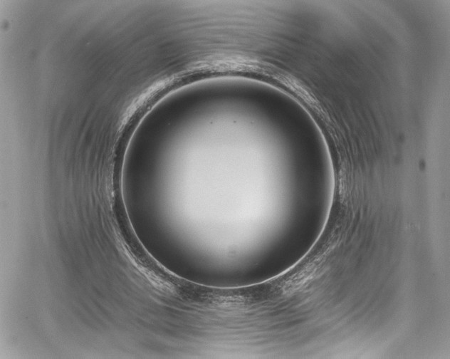 X0000067950438200604171439