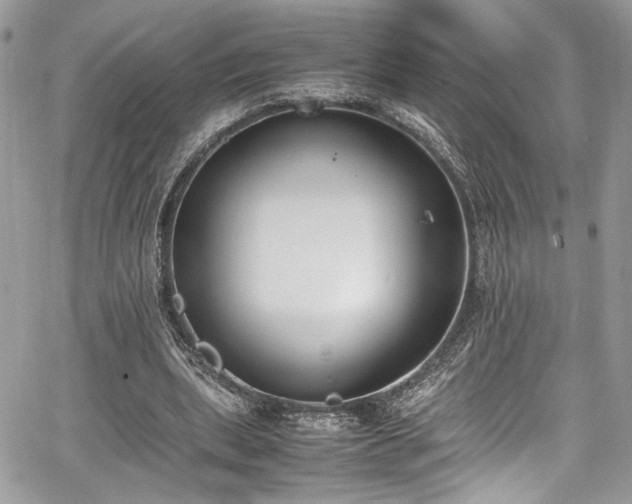 X0000067950439200604171439