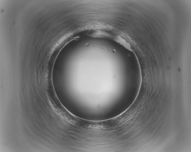 X0000067950440200604171439