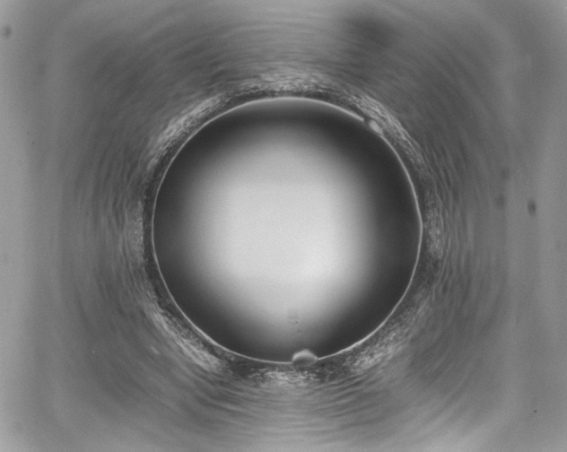 X0000067950442200604171439