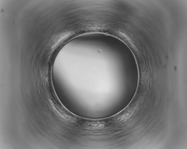 X0000067950443200604171439