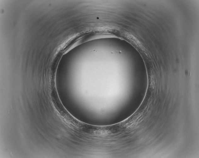 X0000067950444200604171439