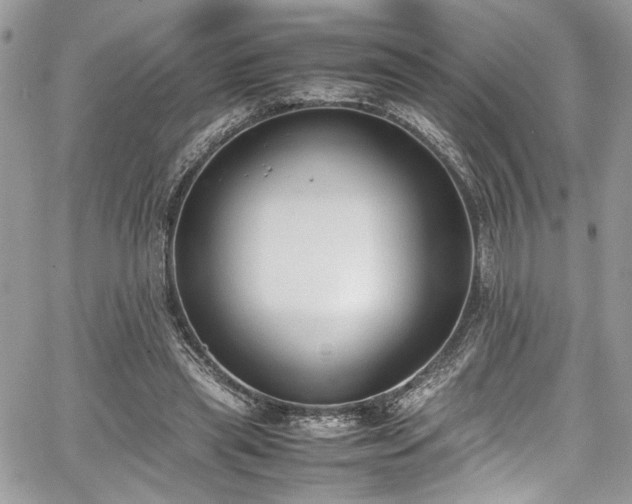 X0000067950445200604171439