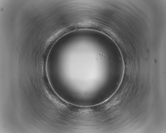 X0000067950446200604171439