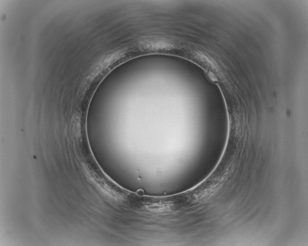 X0000067950447200604171439