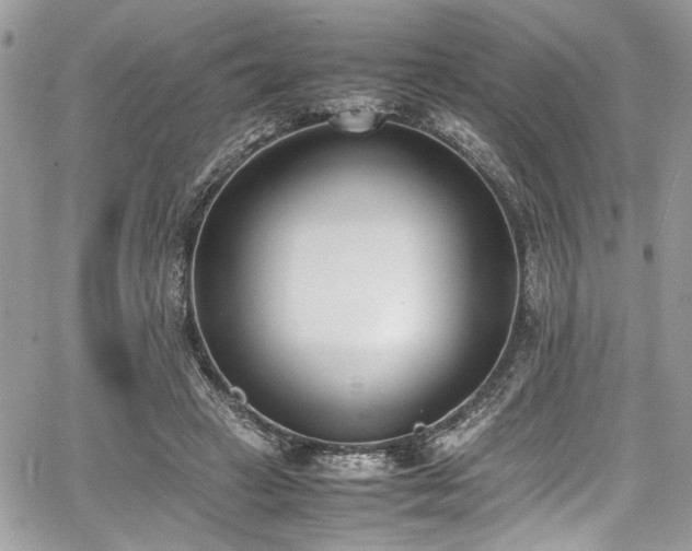 X0000067950449200604171439