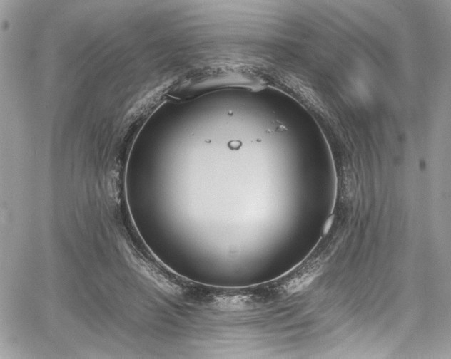 X0000067950450200604171439