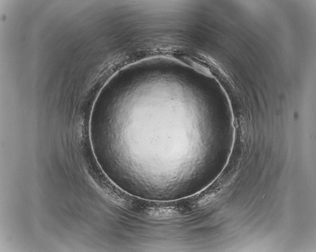 X0000067950451200604171439