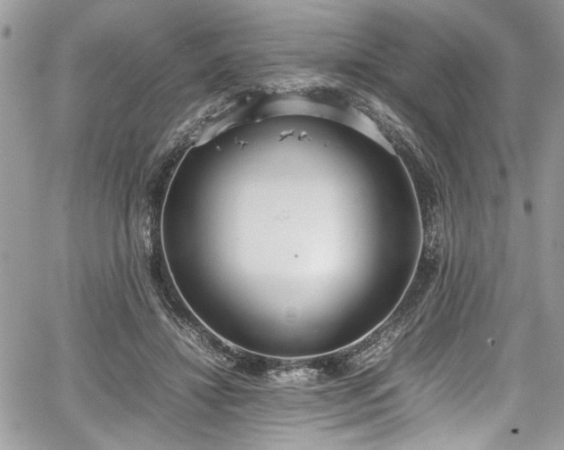 X0000067950452200604171439