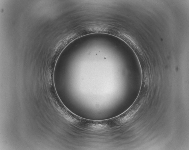 X0000067950453200604171439