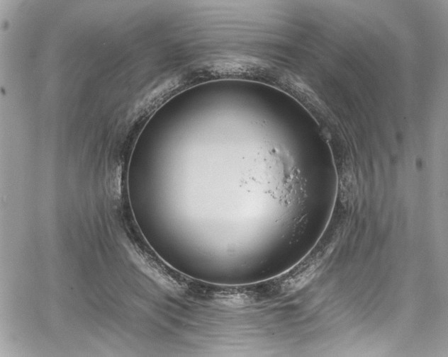 X0000067950454200604171439