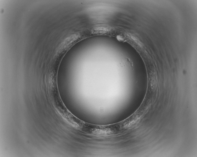 X0000067950455200604171439