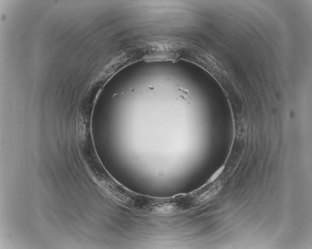 X0000067950456200604171439