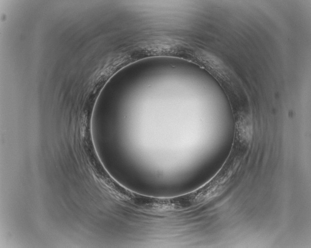 X0000067950458200604171440