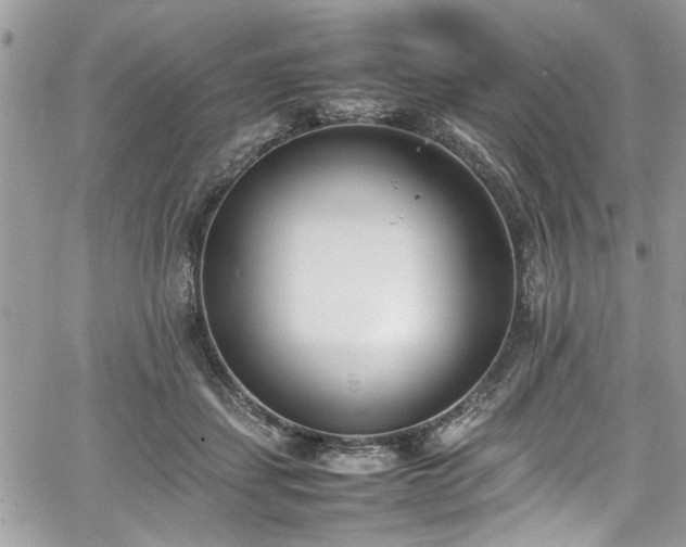 X0000067950459200604171440