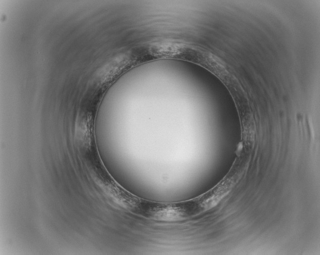 X0000067950460200604171440